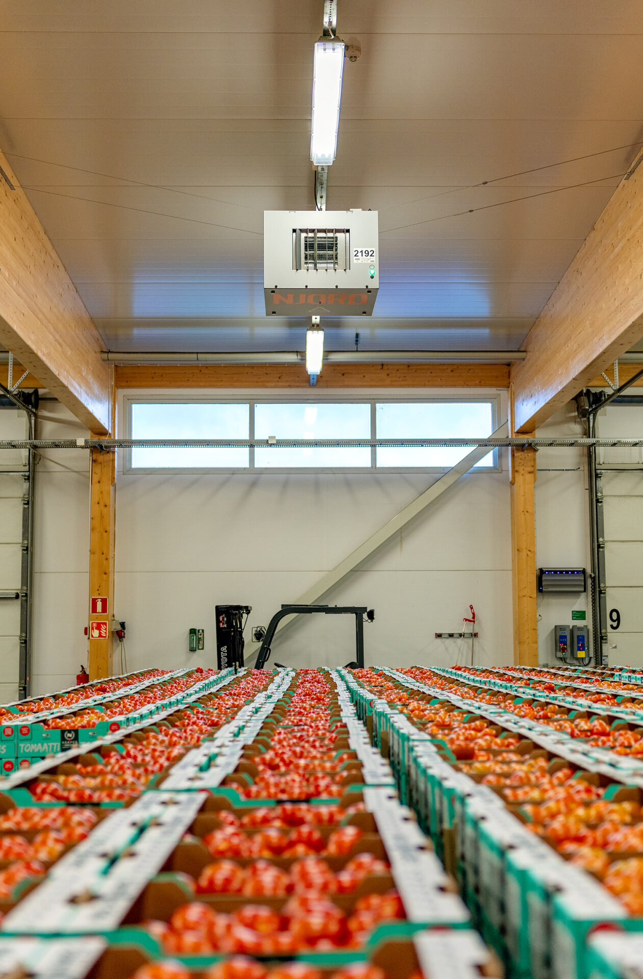 Njord luftrenare över tomater hos Närpes Grönsaker i Finland